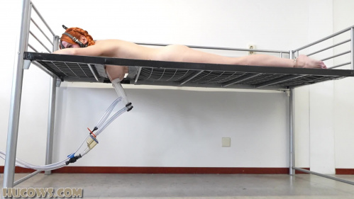 HuCows – Melodie The Wrong Building